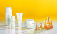 Royal Jelly